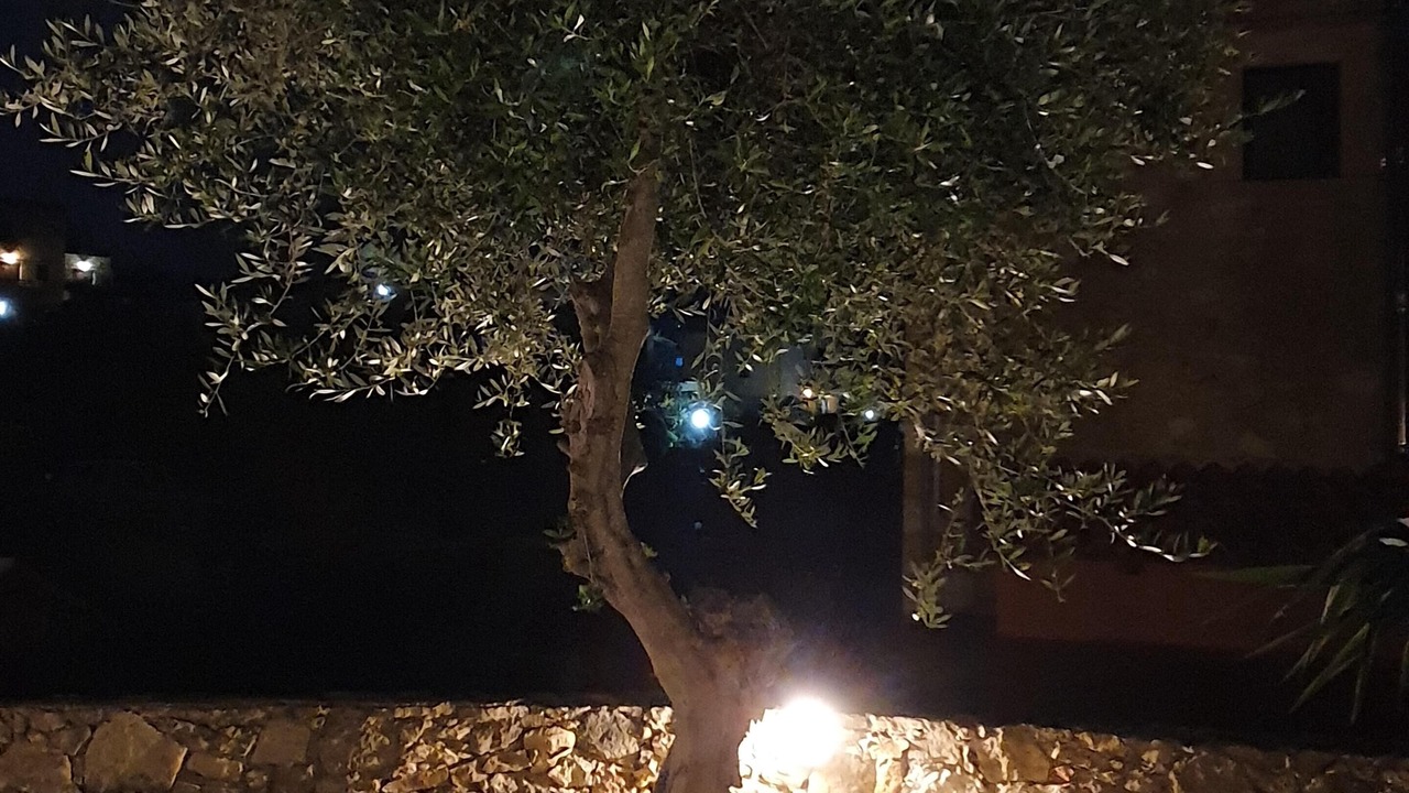 Photo of Outdoor in Platanias
