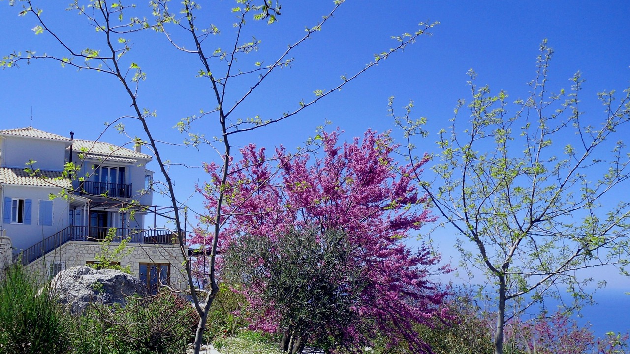 Photo of Outdoor in Kalamitsi