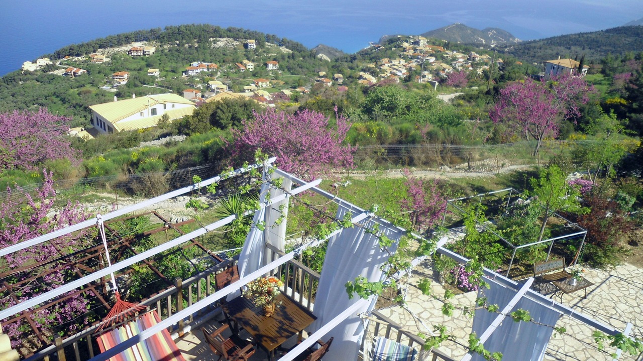 Photo of Outdoor in Kalamitsi