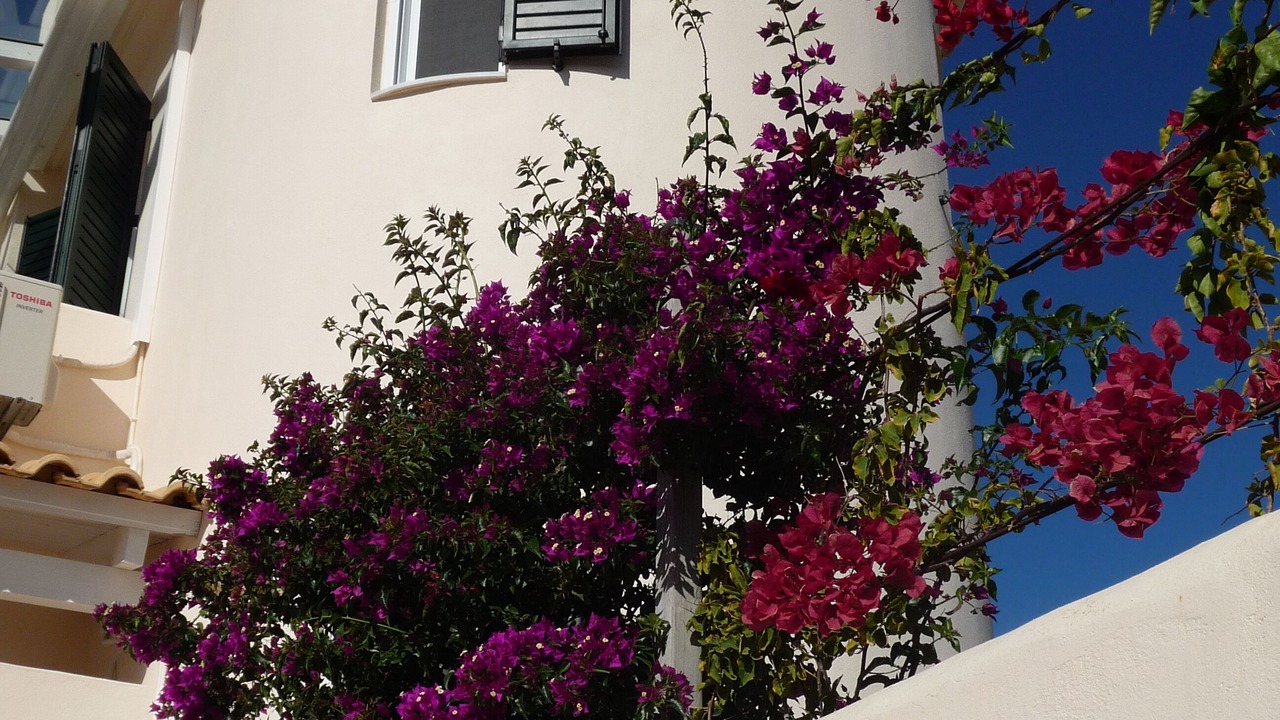 Photo of Outdoor in Pylos-Nestoras