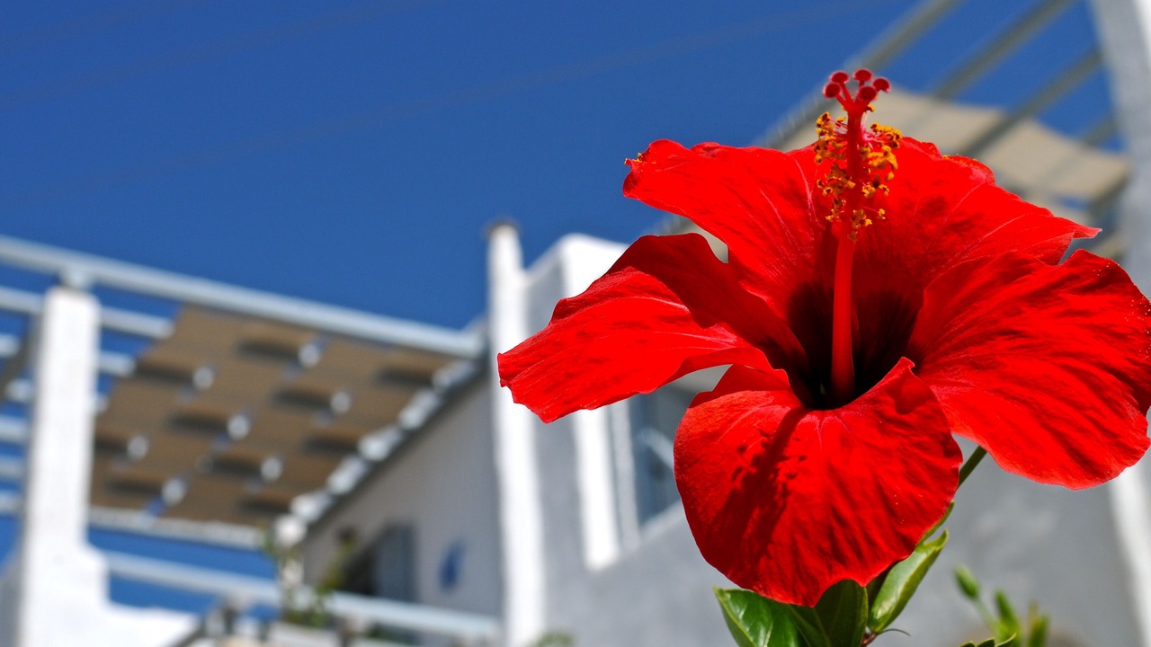 Photo of Outdoor in Drios