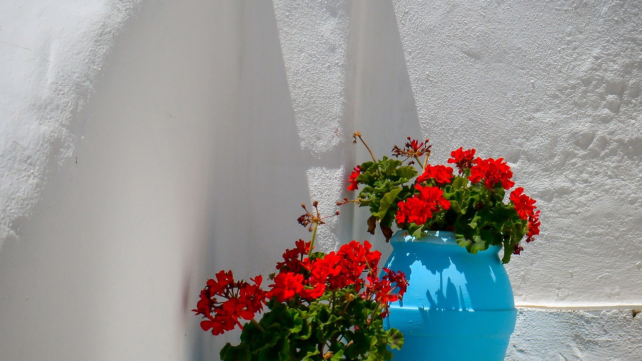 Photo of Outdoor in Drios