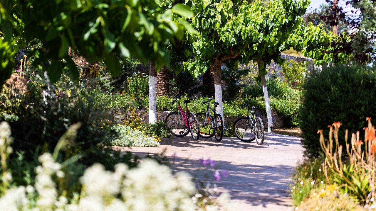 Photo of Outdoor in Melidoni