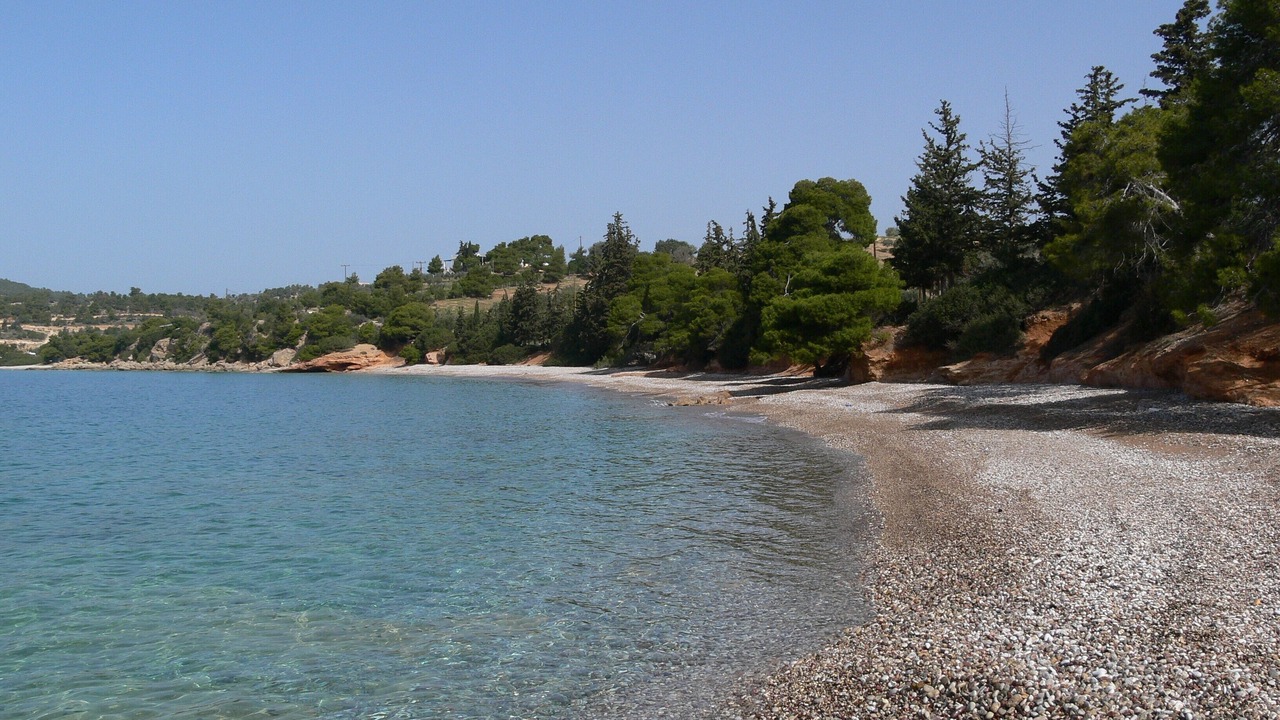 Photo of Others in Kilada