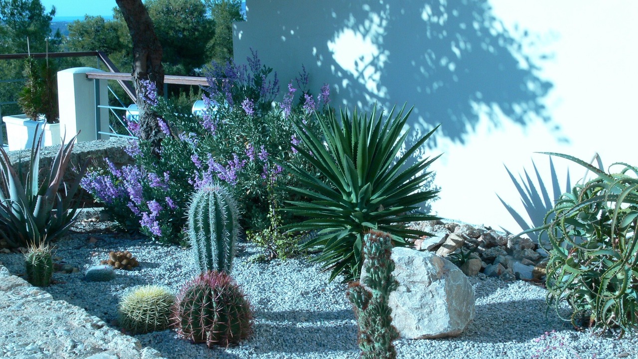 Photo of Outdoor in Kilada
