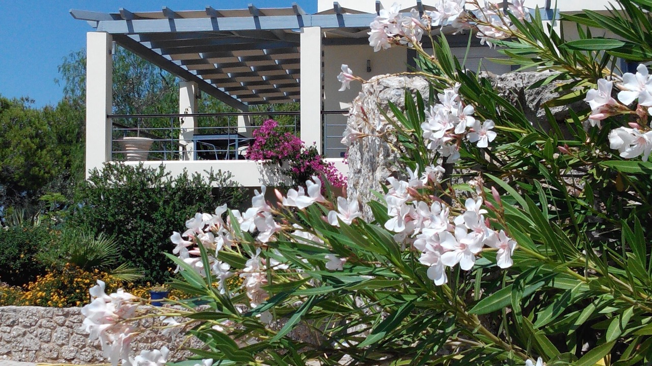 Photo of Outdoor in Kilada