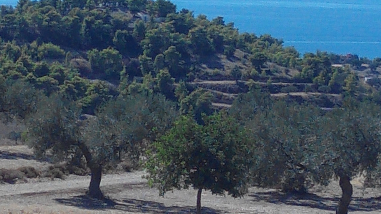 Photo of Others in Kilada