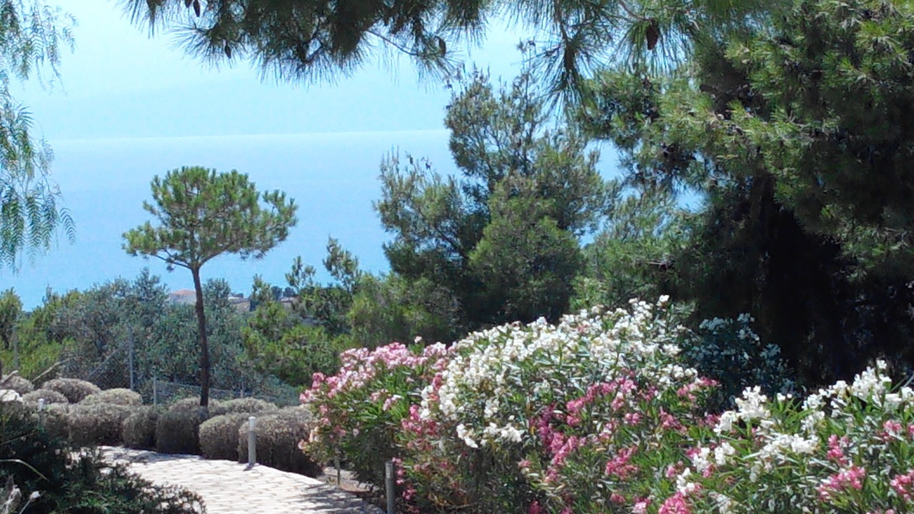 Photo of Outdoor in Kilada