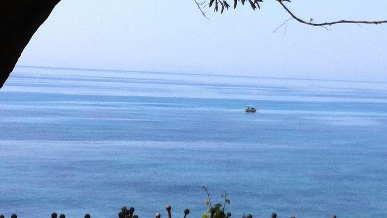 Photo of Others in Lygia