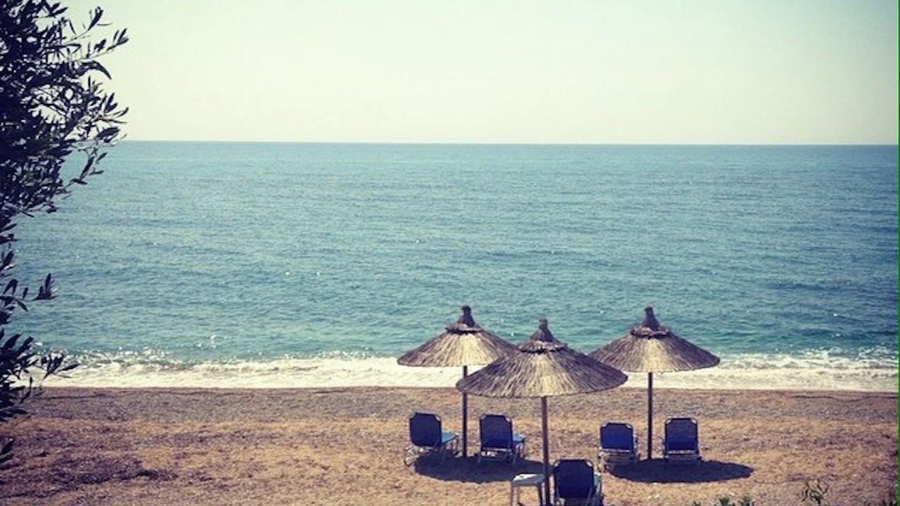 Photo of Others in Lygia