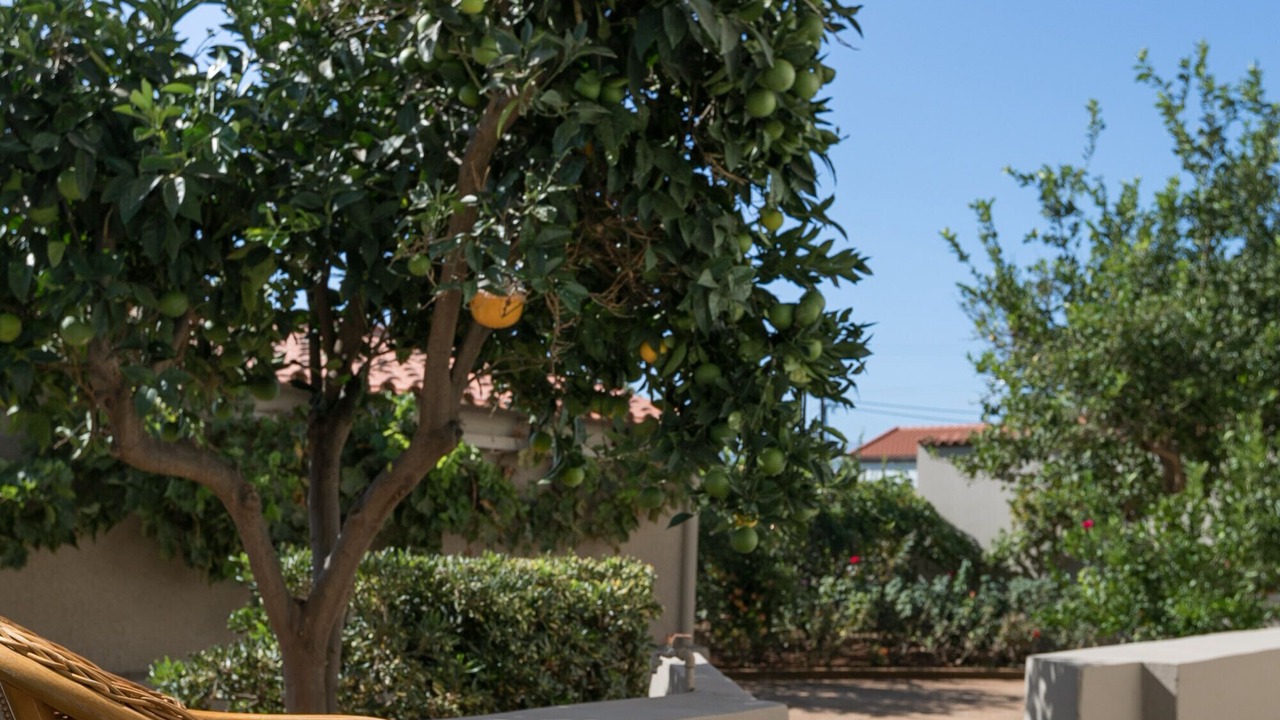 Photo of Outdoor in Stavros