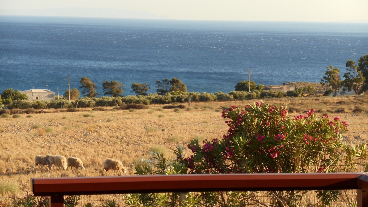 Photo of Outdoor in Fragkokastello