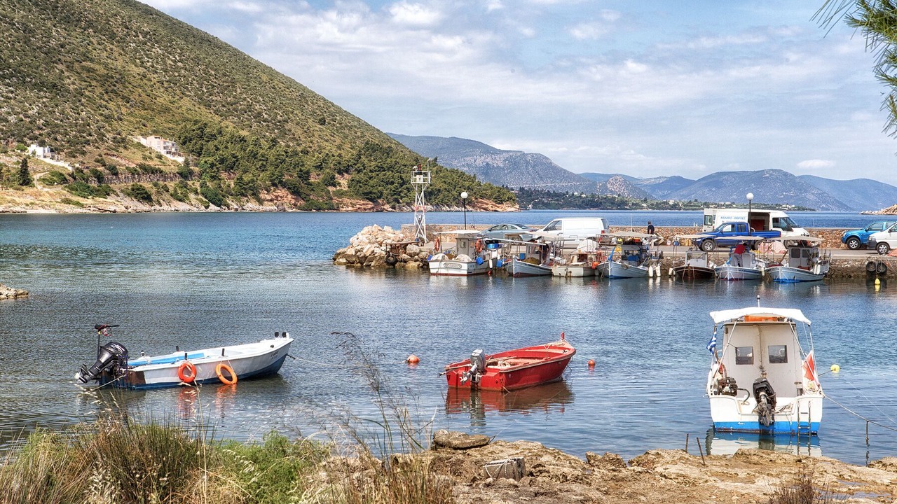 Photo of Others in Chalcis