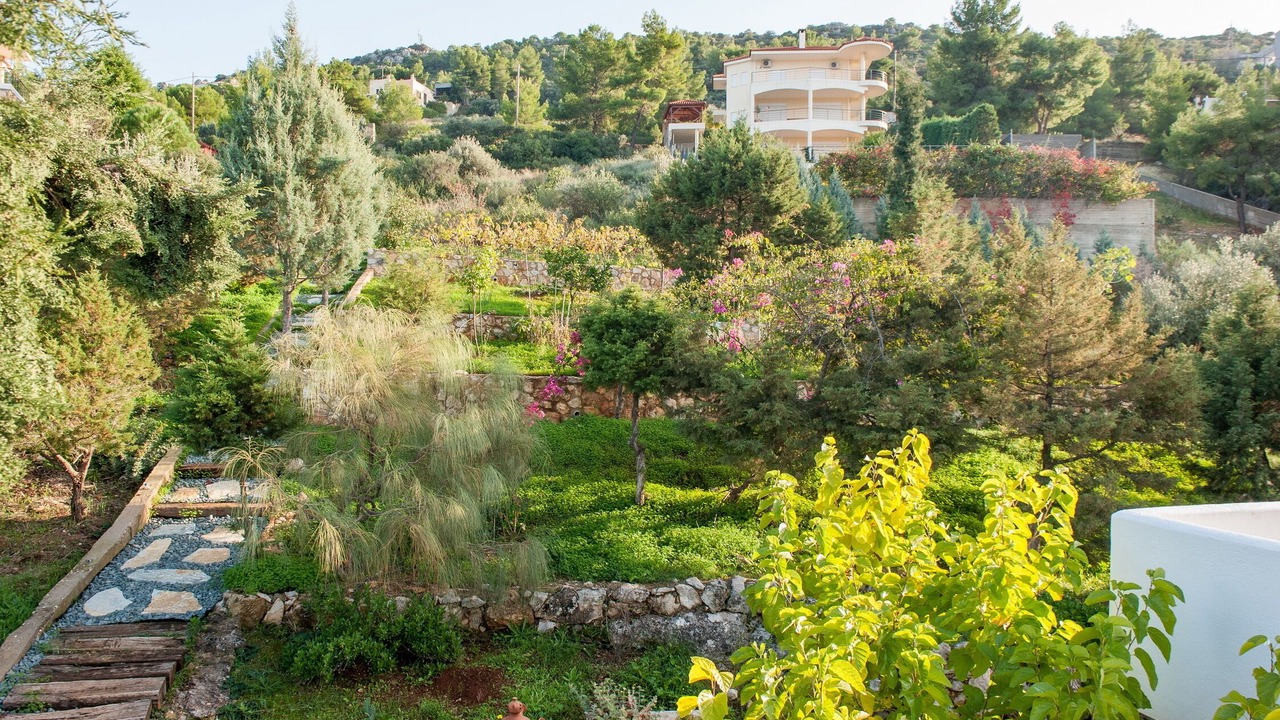 Photo of Outdoor in Theologos