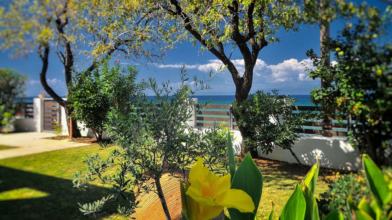 Photo of Outdoor in Skala Sotiros