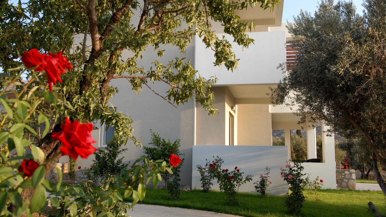 Photo of Outdoor in Amaniou