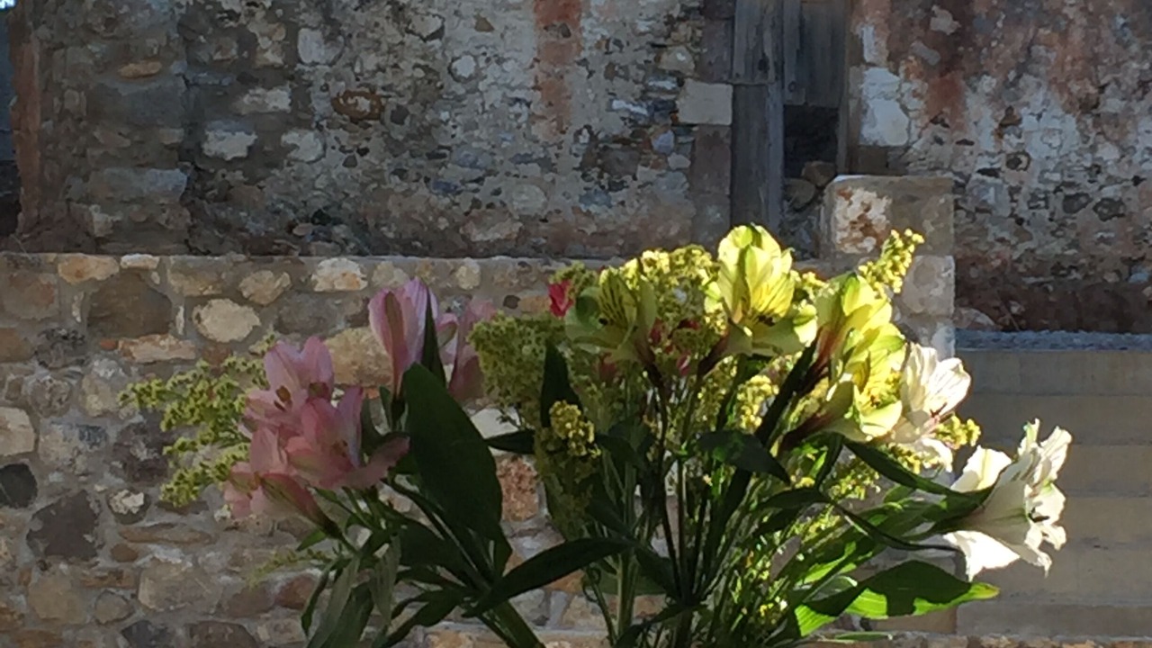 Photo of Outdoor in Amaniou