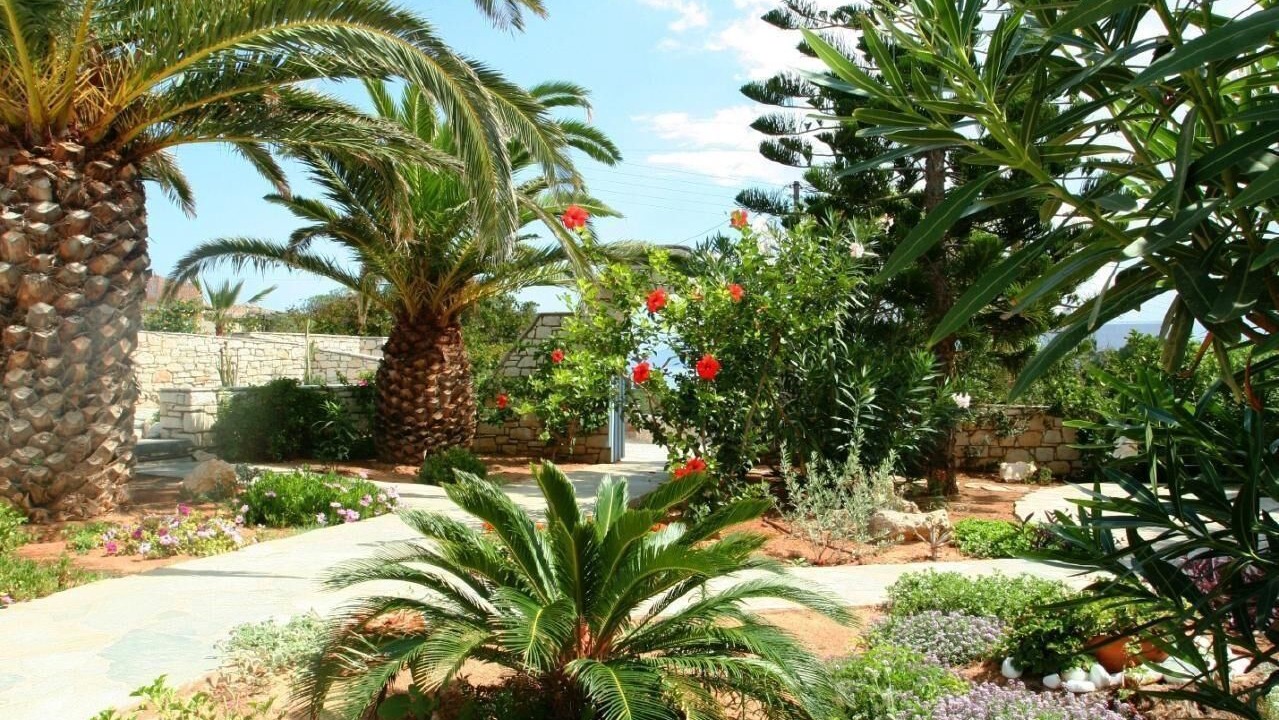 Photo of Outdoor in Santa Maria