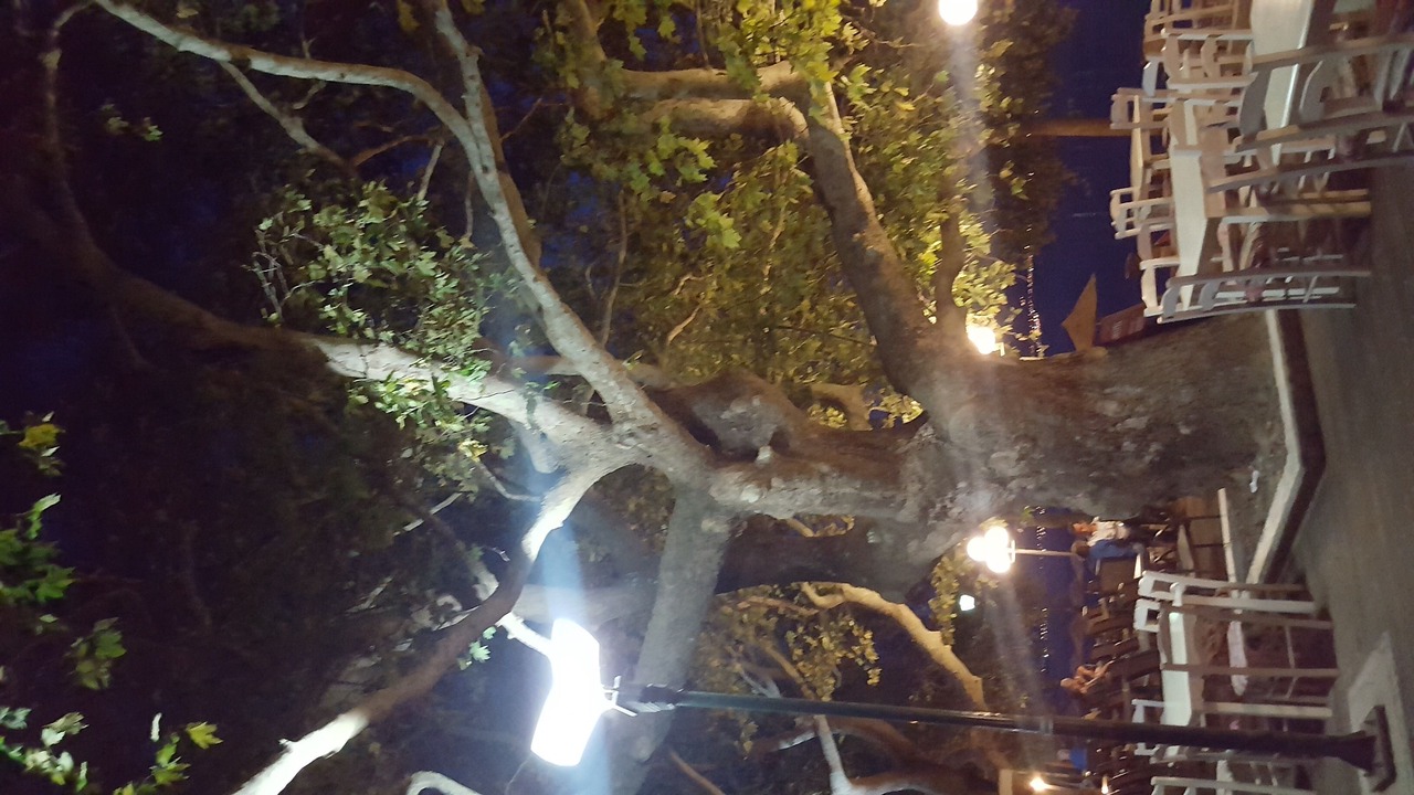 Photo of Outdoor in Gefira Mpania