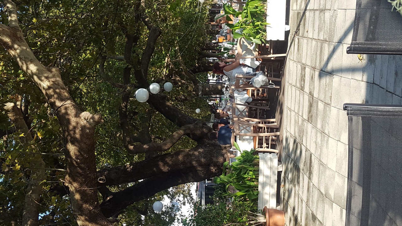 Photo of Others in Gefira Mpania