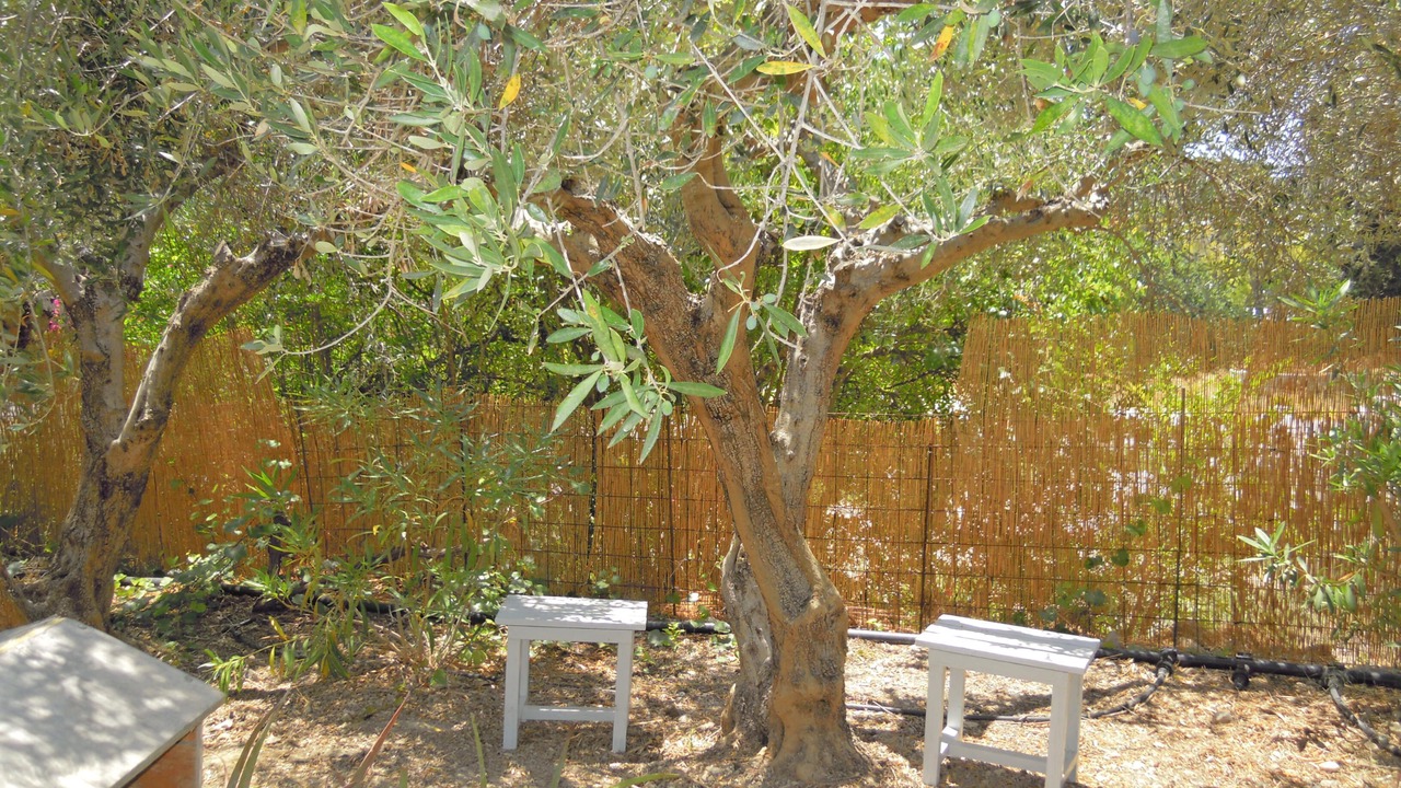Photo of Outdoor in Kamilari