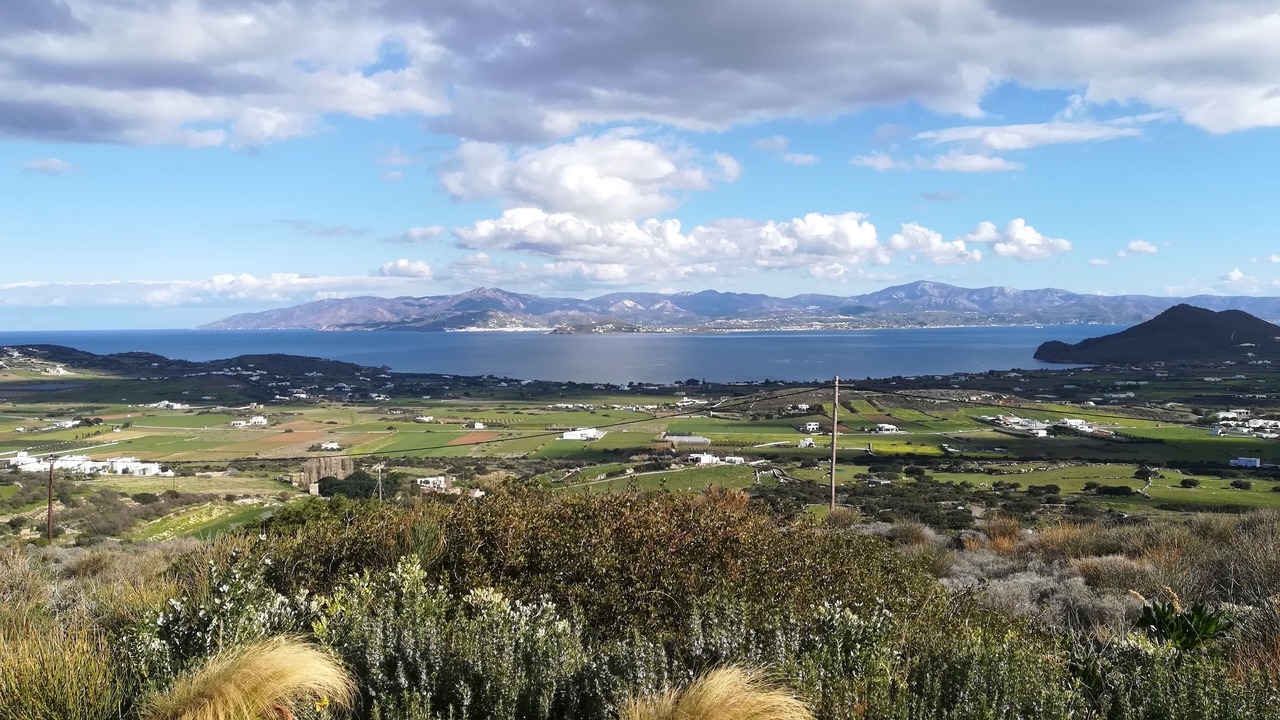 Photo of Others in Paros