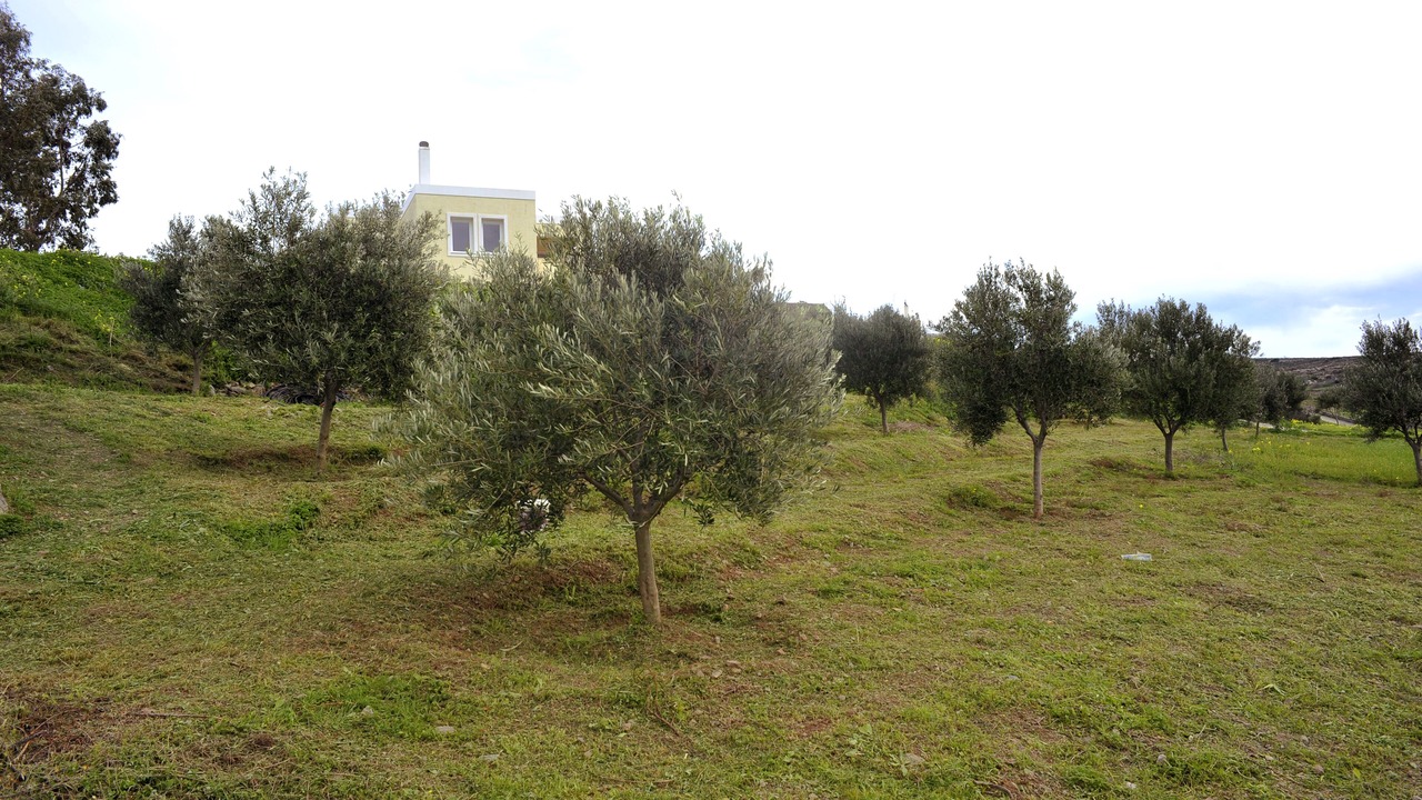 Photo of Others in Syros
