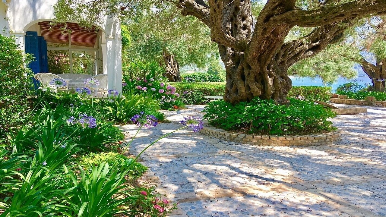 Photo of Outdoor in Barbati