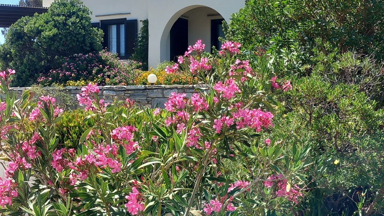 Photo of Outdoor in Agios Prokopios