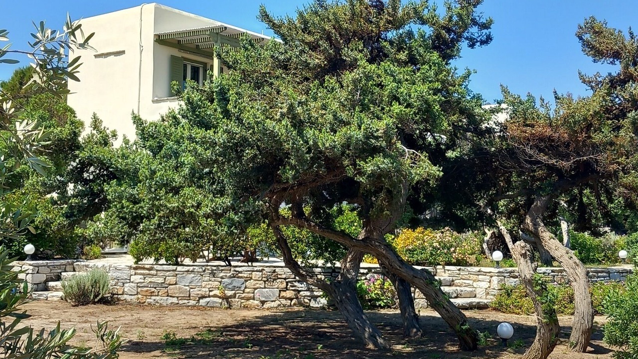 Photo of Outdoor in Agios Prokopios
