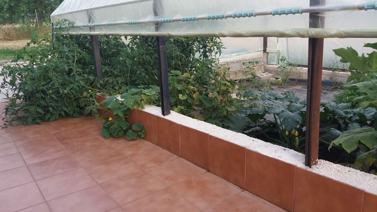 Photo of Outdoor in Pamvotida