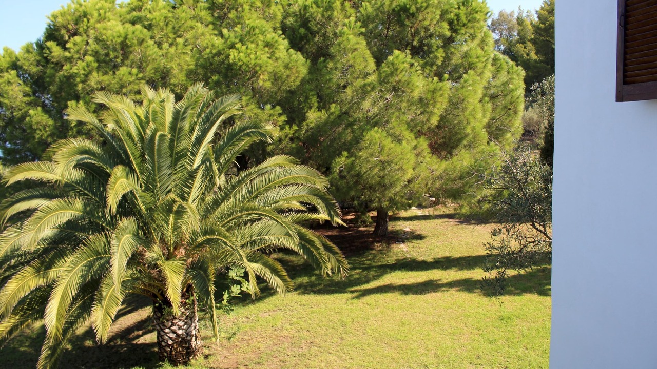 Photo of Outdoor in Sithonia