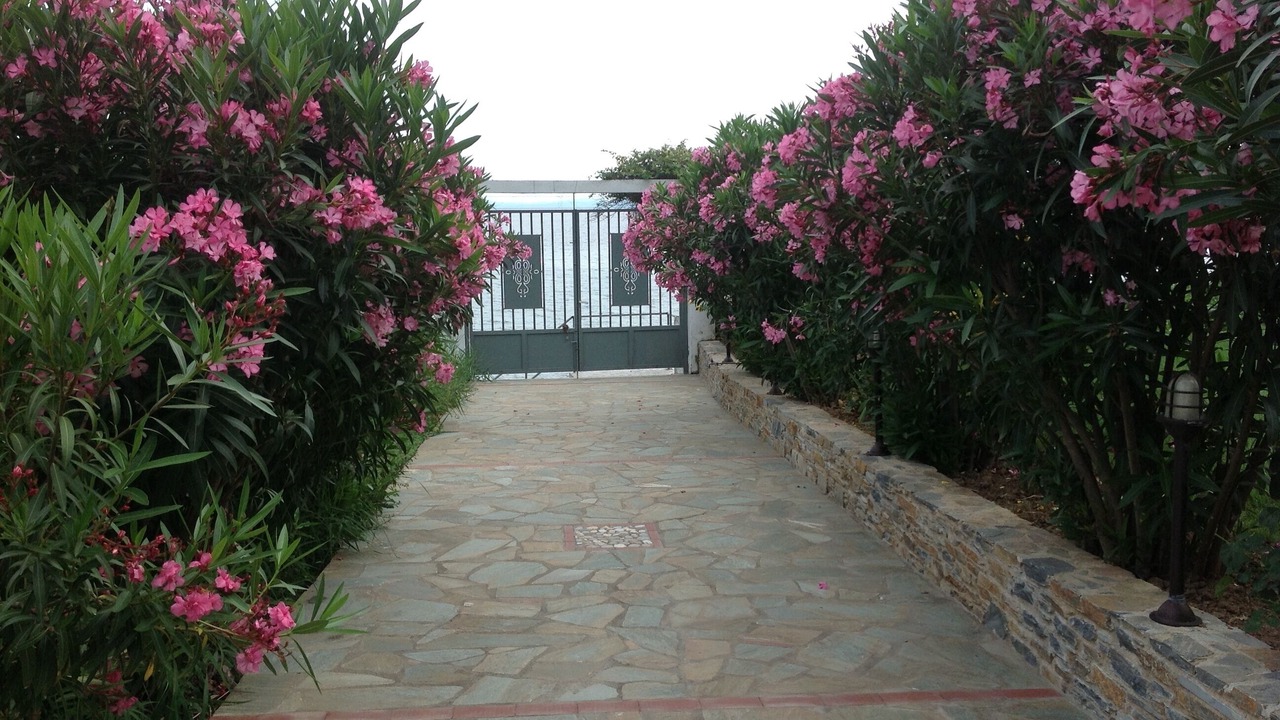 Photo of Outdoor in Elios