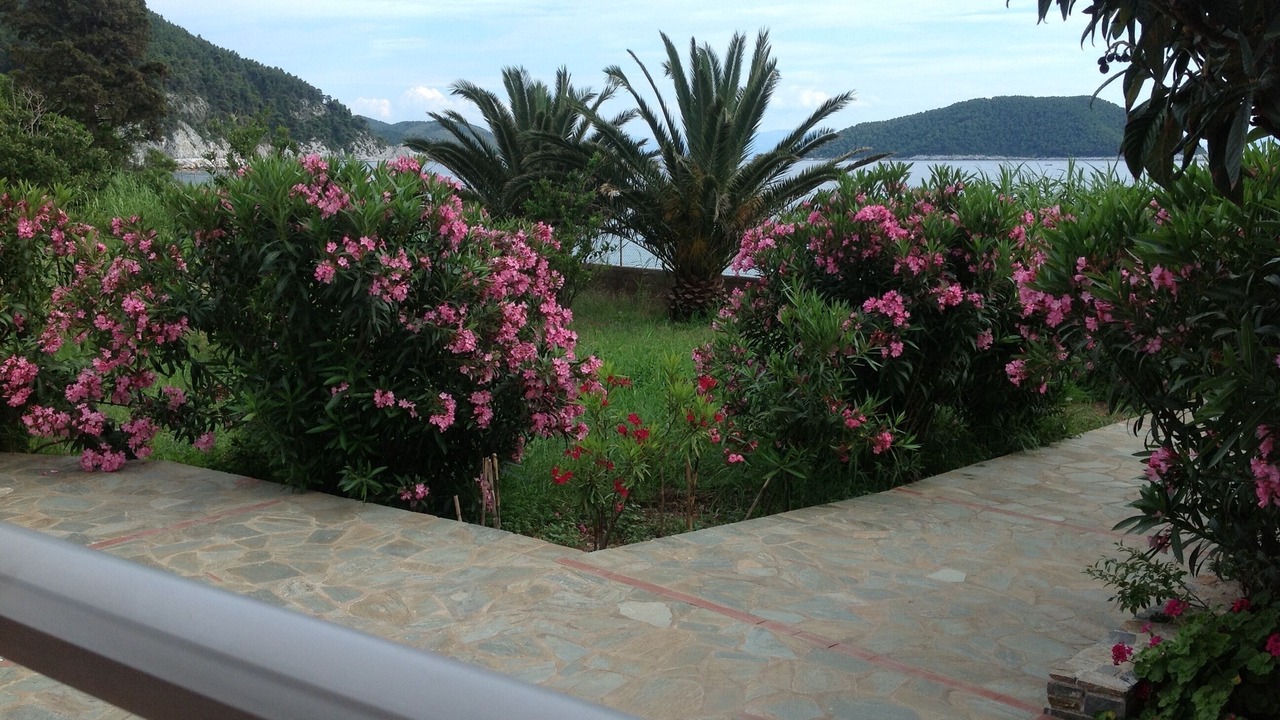 Photo of Outdoor in Elios