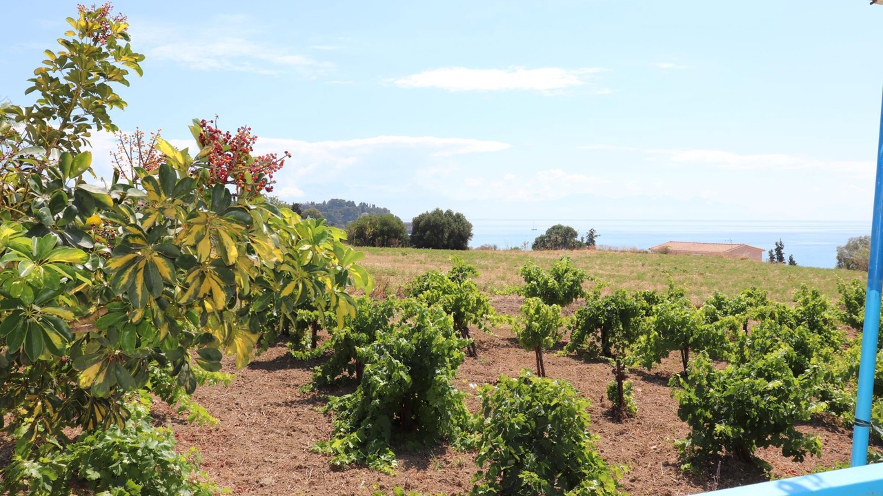 Photo of Outdoor in Pylos-Nestoras