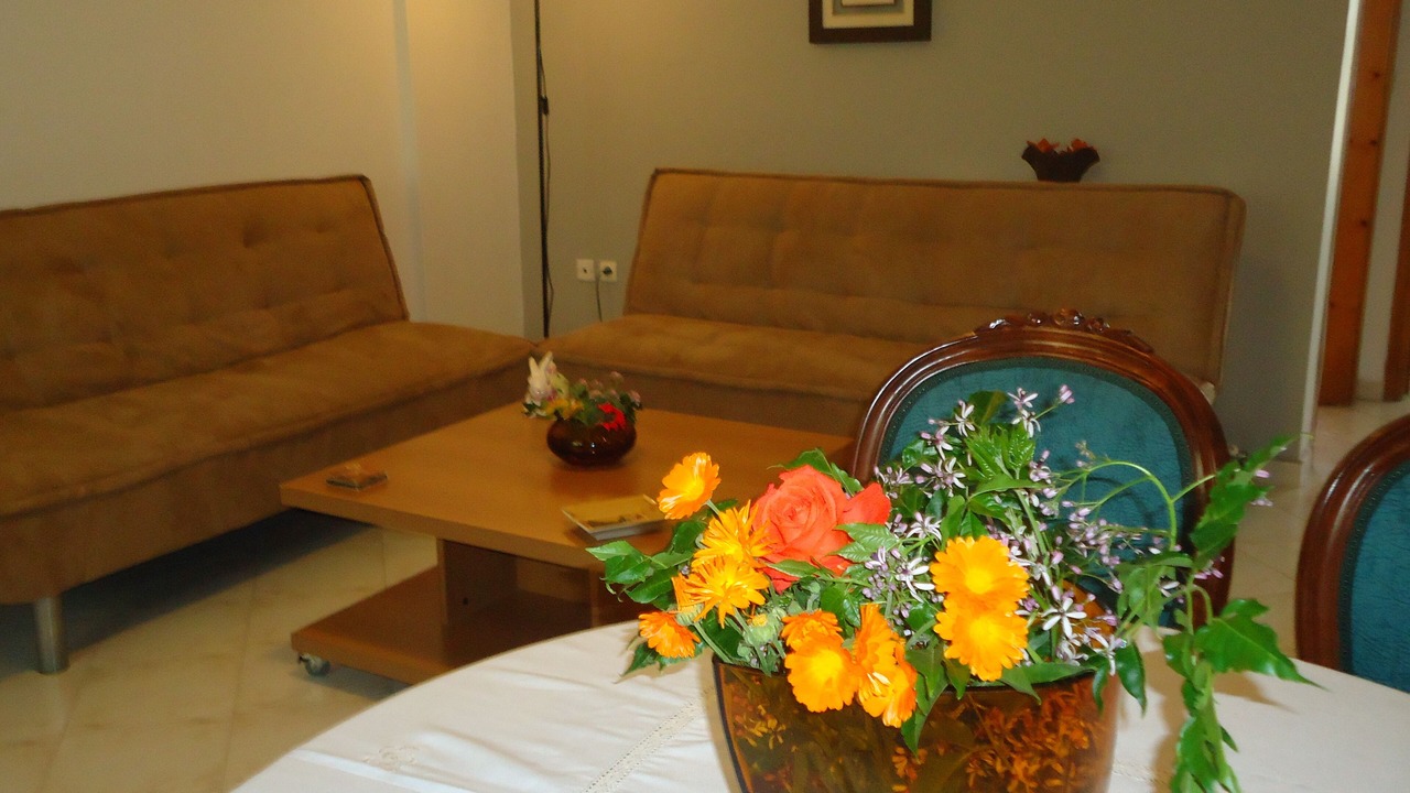 Photo of Livingroom in Drepano