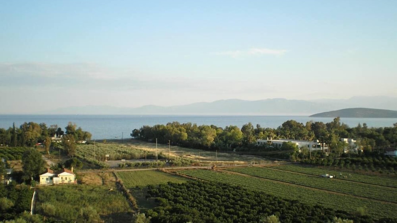 Photo of Others in Drepano