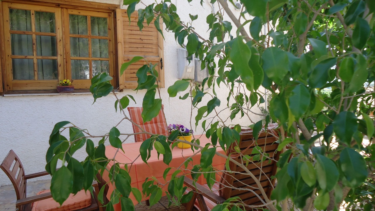 Photo of Outdoor in Drepano
