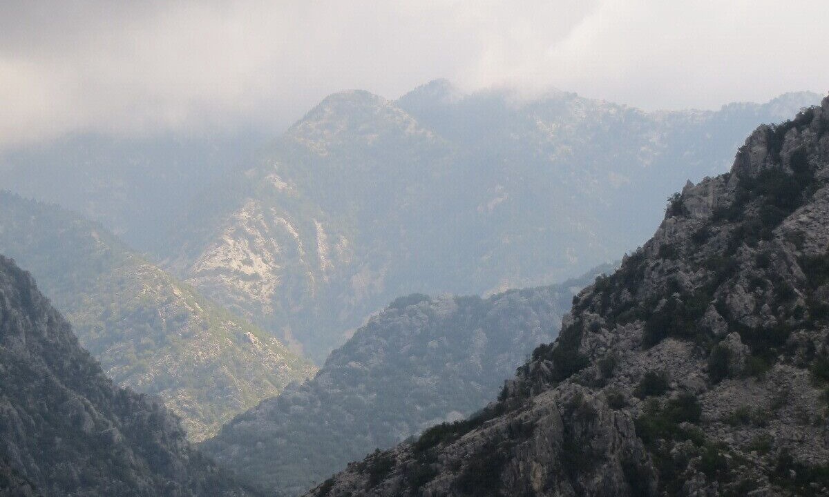 Photo of Others in Kardamyli