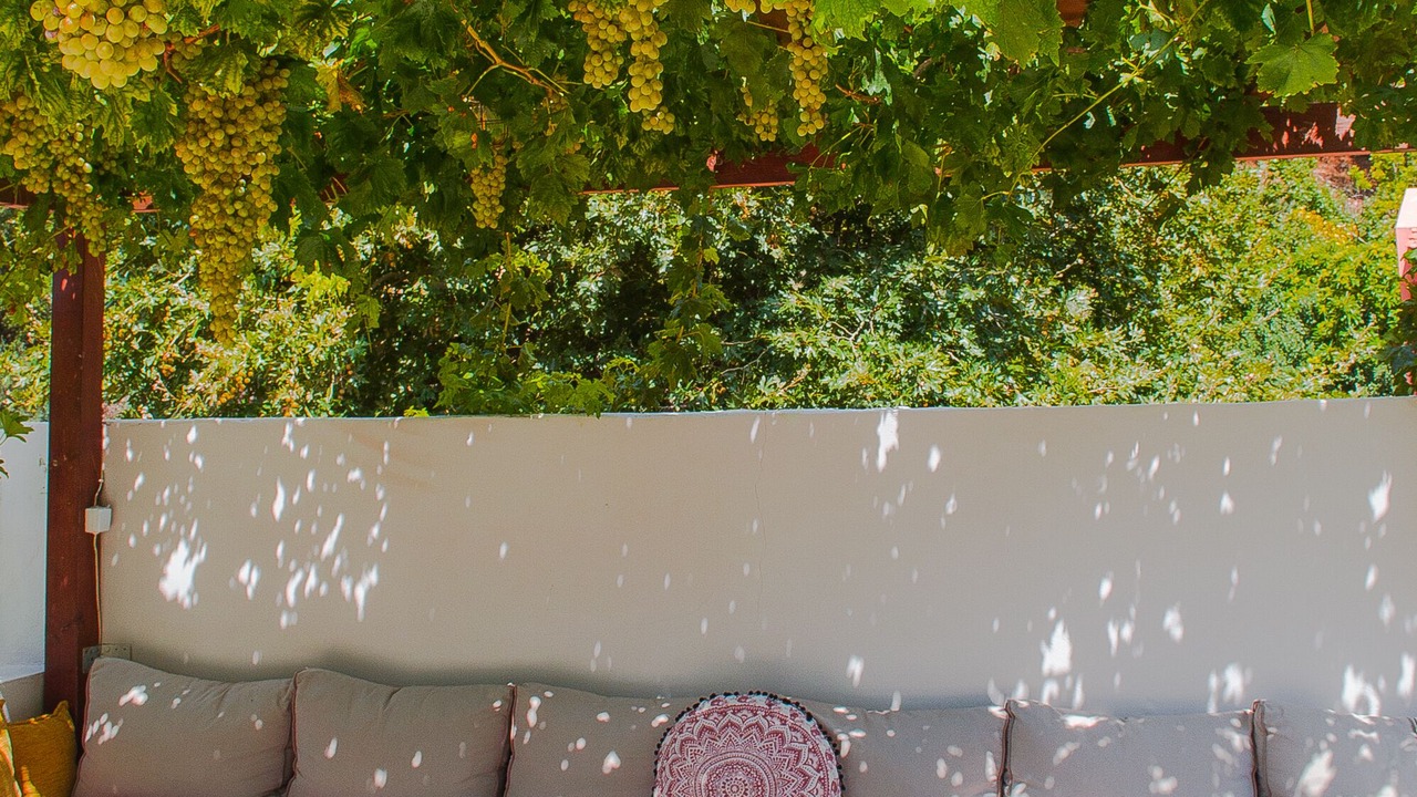 Photo of Outdoor in Perivolia