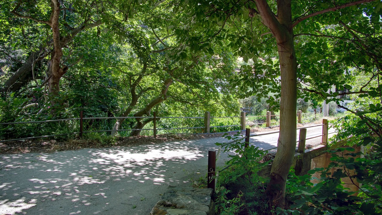 Photo of Outdoor in Perivolia