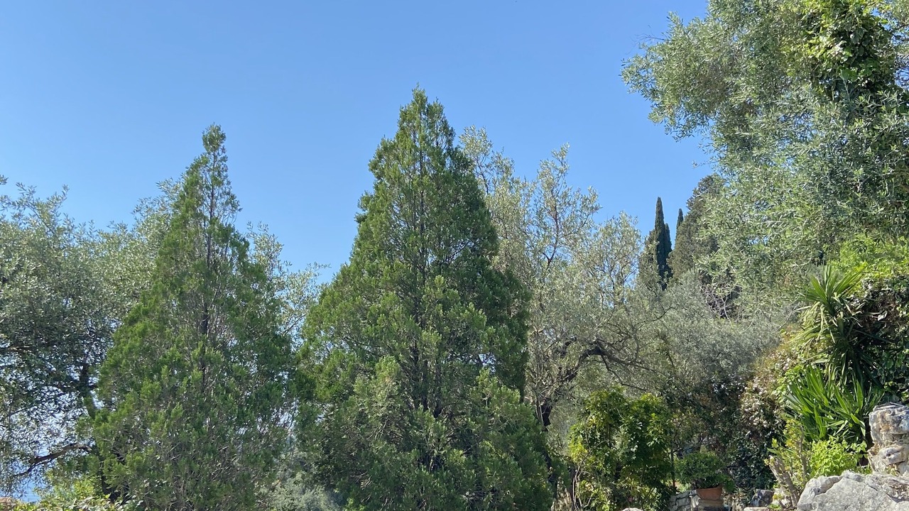 Photo of Outdoor in Agni