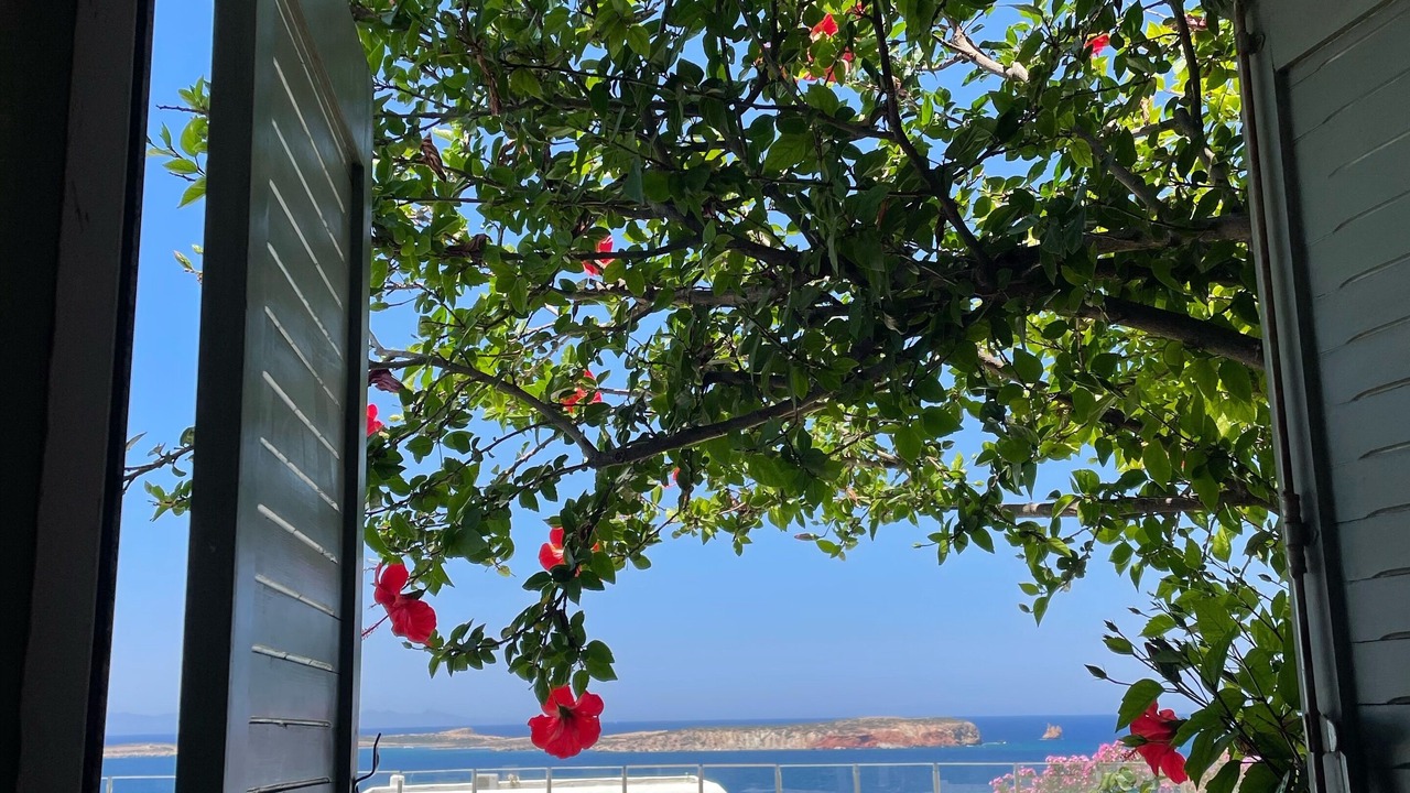 Photo of Outdoor in Nea Cryssi Akti