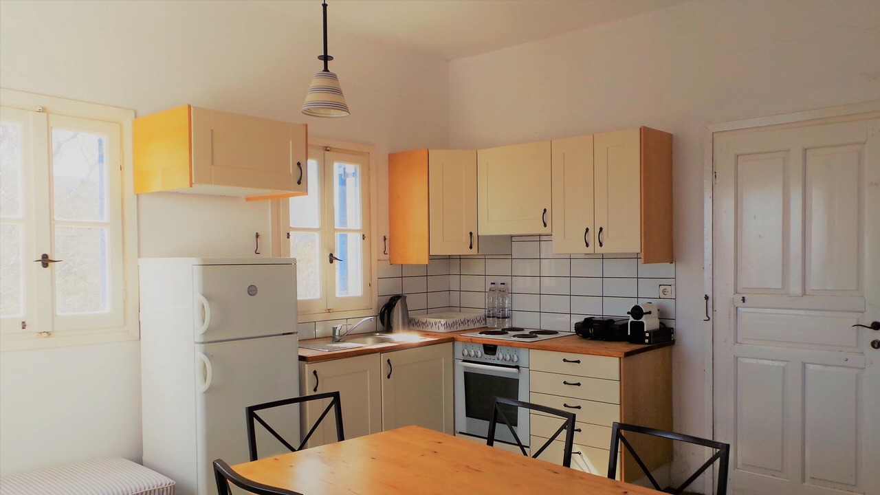 Photo of Kitchen in Andros
