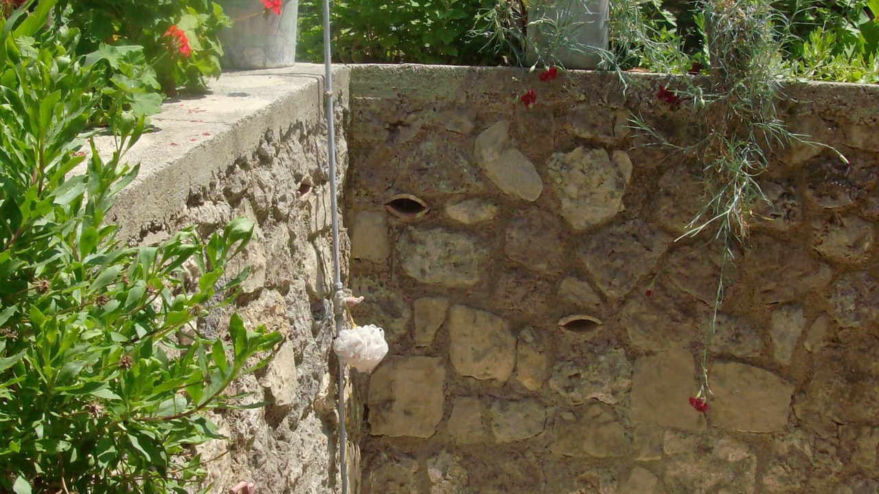 Photo of Others in Pelekas