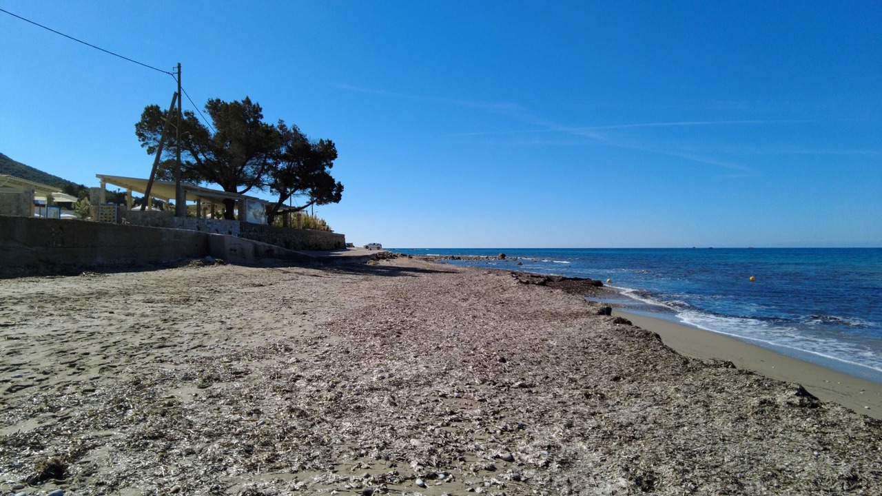 Photo of Others in Skala
