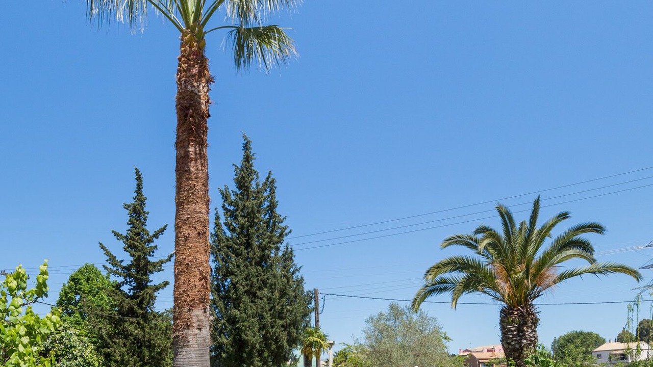 Photo of Outdoor in Alepou