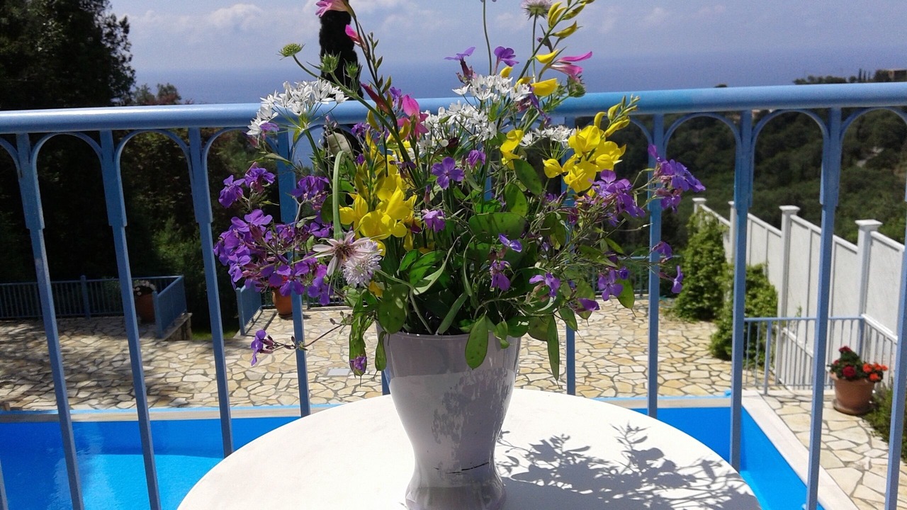 Photo of Outdoor in Parelia