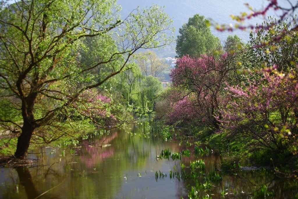 Photo of Outdoor in Parelia