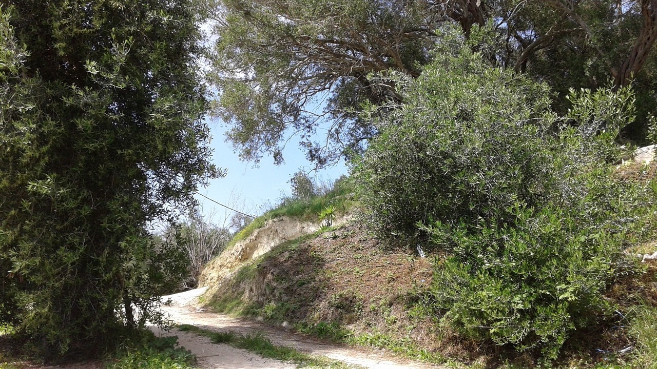 Photo of Outdoor in Parelia